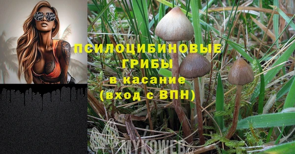 винт Гусь-Хрустальный