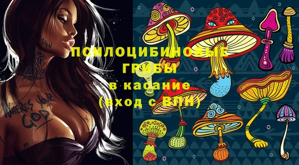 винт Гусь-Хрустальный