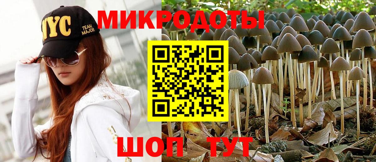 Псилоцибиновые грибы Cubensis Сердобск