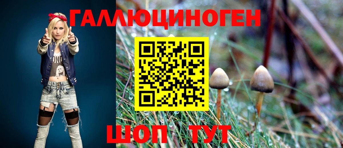 как найти закладки  Псилоцибиновые грибы Magic Shrooms  Вход с VPN  Сердобск 